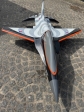 5716210-thumbnail_IMG_8366.jpg